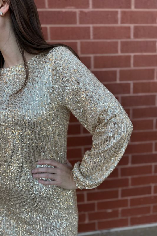 Andromeda Sequin Dress